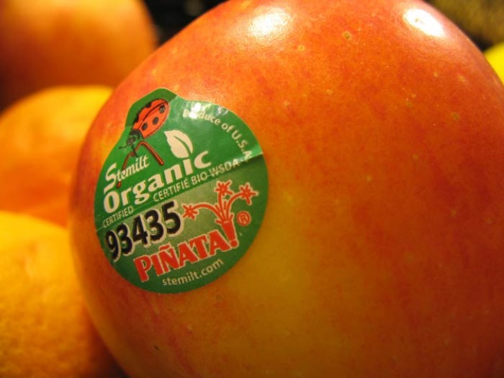 etiquetas para frutas verduras – Etisa Etiquetas